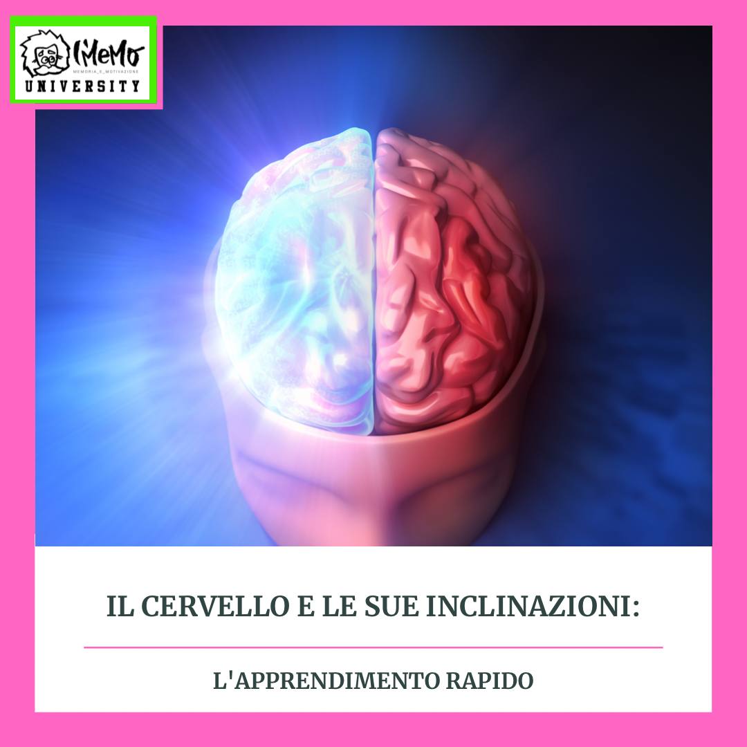 cervello-apprendimento-rapido