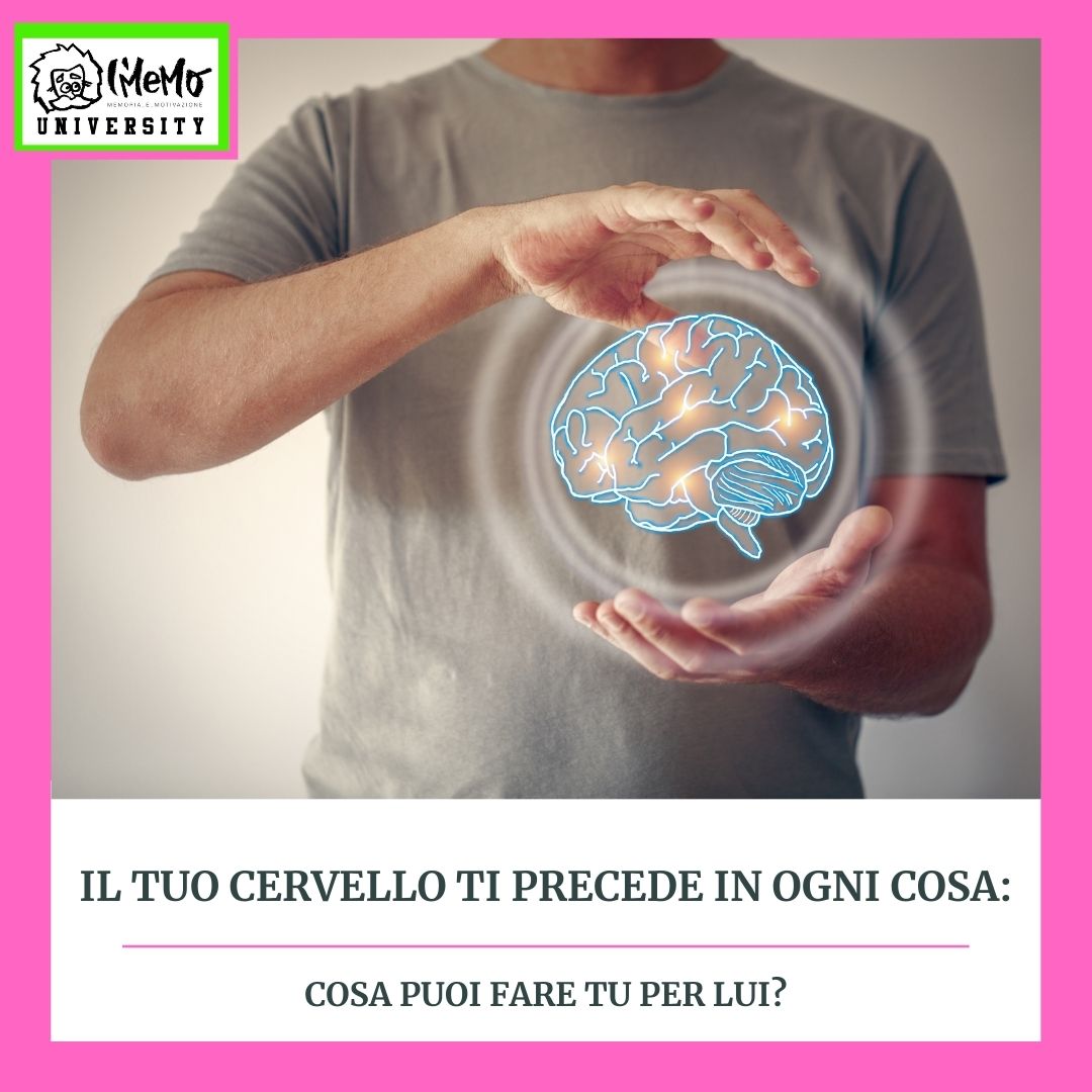 cervello