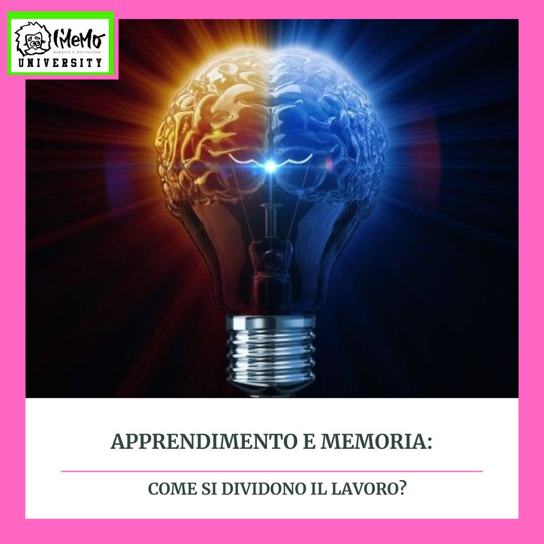 apprendimento-memoria