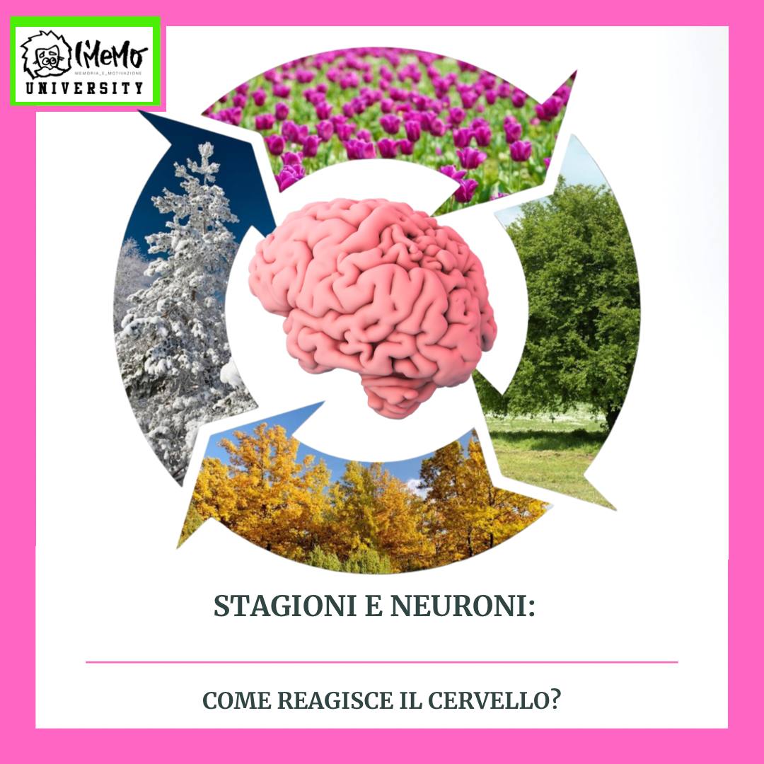 cervello - e - cambio -di stagione