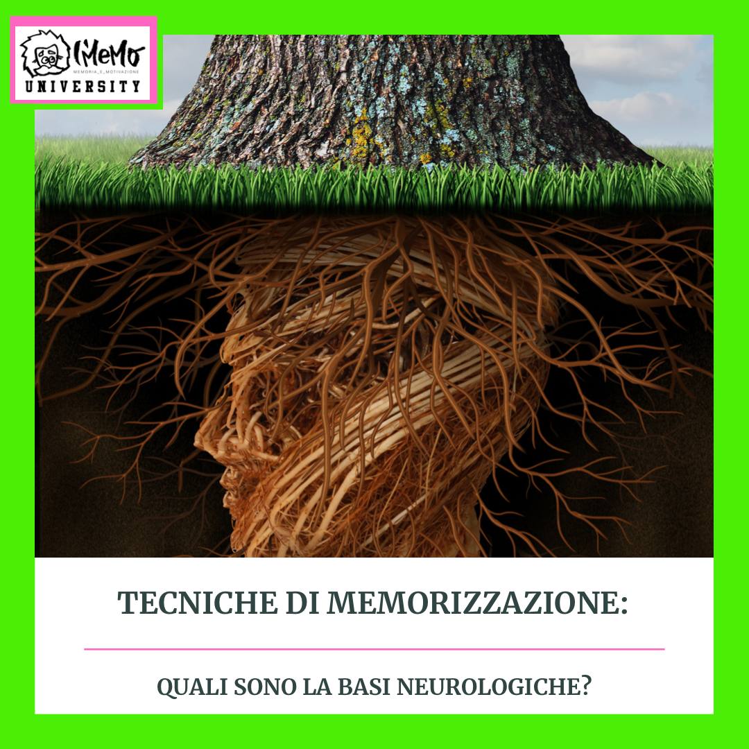 tecniche-di-memorizzazione-basi-neurologiche