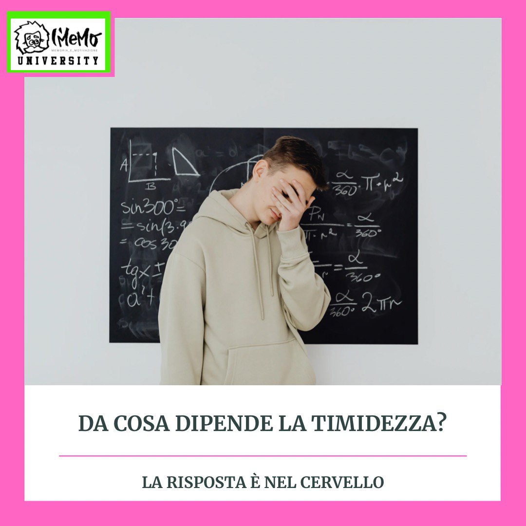 timidezza - cervello